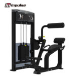 Strength-IF93 IF9332 BACK EXTENSION