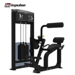 Strength-IF93 IF9332 BACK EXTENSION