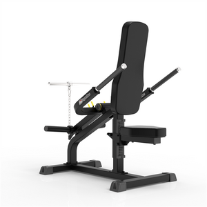 Strength-IFP IFP1706 BICEPS/TRICEPS