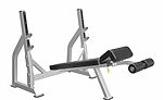 Strength-IF IFODB DECLINE BANCH PRESS