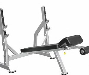 Strength-IF IFODB DECLINE BANCH PRESS