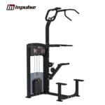 Strength-IF93 IF9320 WEIGHT ASSISTED CHIN/DIP COMBO