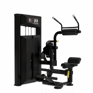 Strength-SL95 SL9534 Abdominal Back Extension